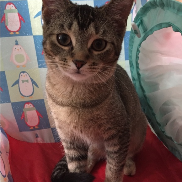 Meet your Posher, Patty - Picture 6 of 12